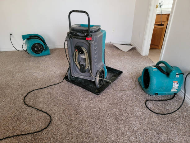 Best Fire Damage Restoration  in Interlachen, FL