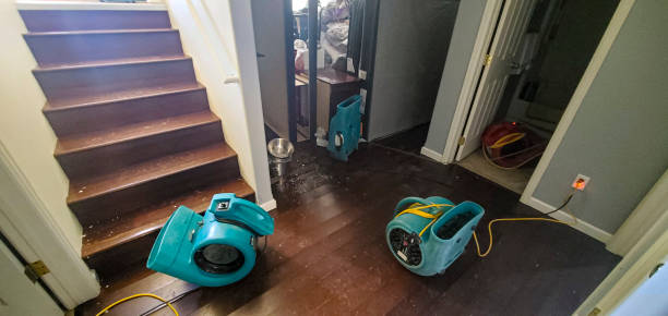 Best Water damage restoration near me  in Interlachen, FL