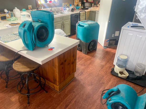 Best Water damage restoration near me  in Interlachen, FL