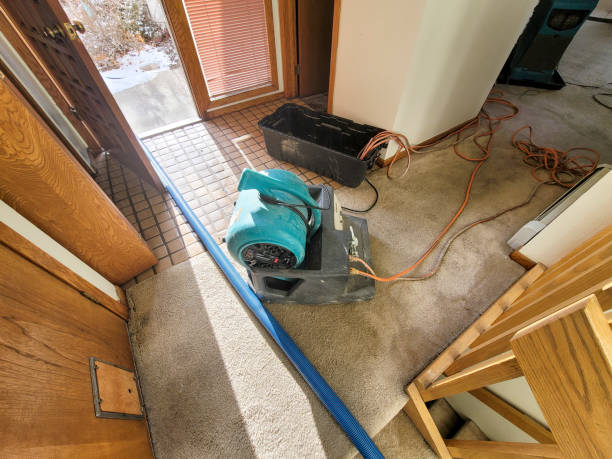 Best Flood damage cleanup  in Interlachen, FL