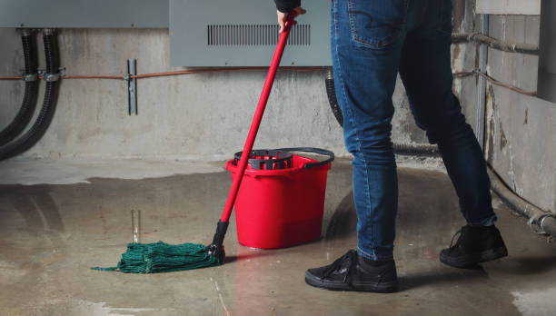 Best Basement water damage restoration  in Interlachen, FL