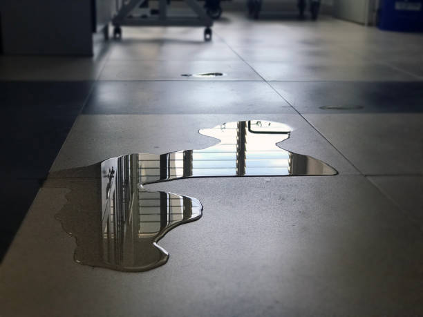 Best Professional water damage repair  in Interlachen, FL