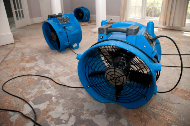 Best Water damage contractors near me  in Interlachen, FL