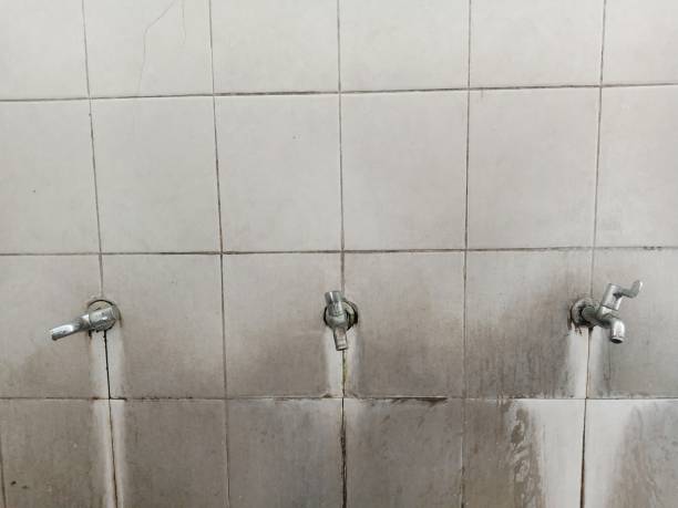 Best Basement water damage restoration  in Interlachen, FL
