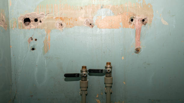 Best Emergency water damage restoration  in Interlachen, FL