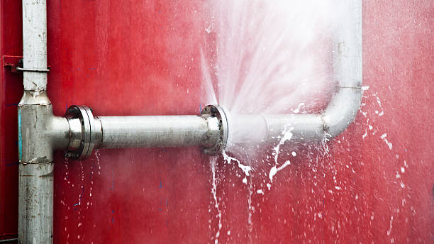 Best Carpet water damage restoration  in Interlachen, FL